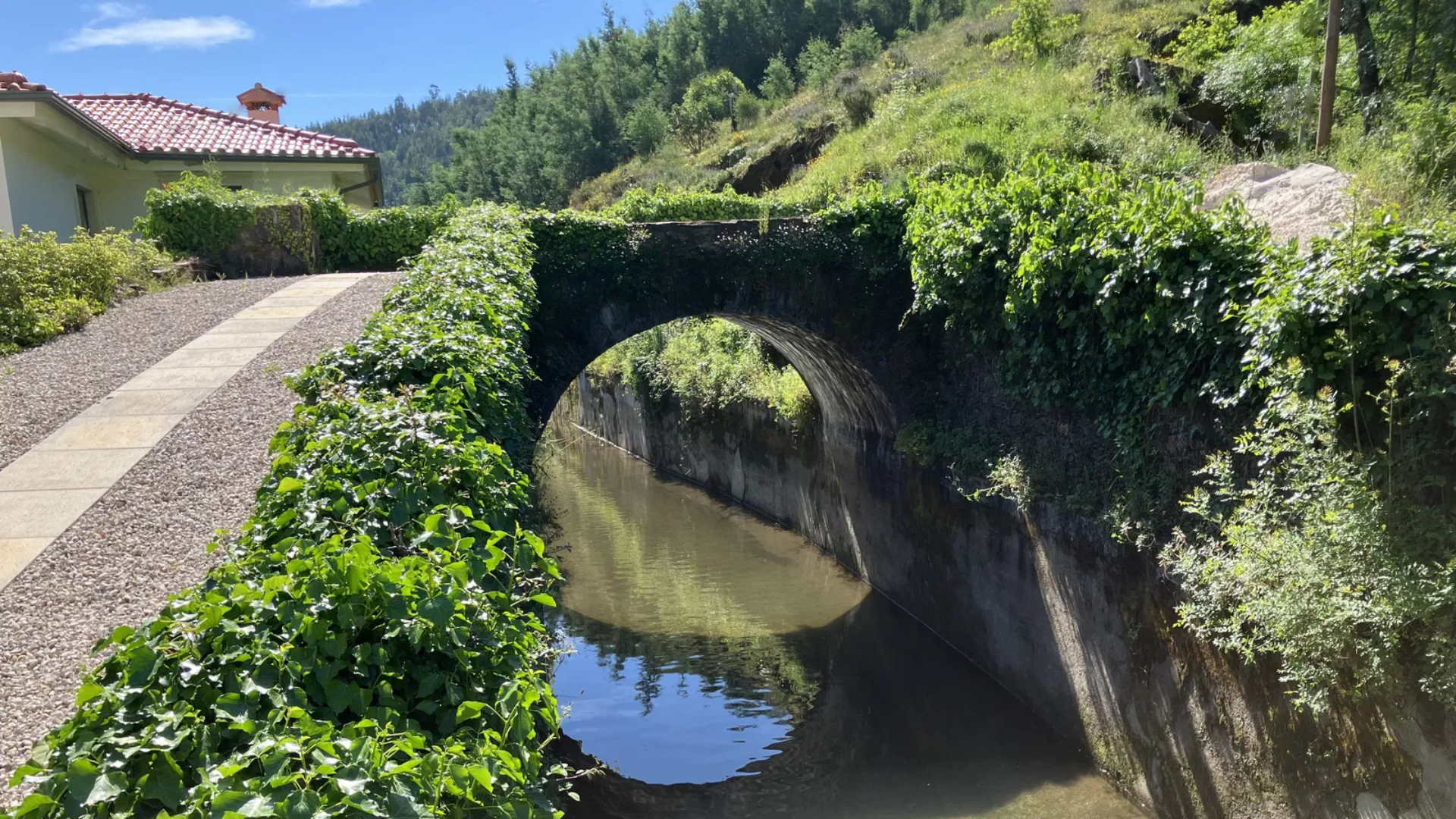 tunnel at Vale d'agua viva (1)